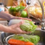5 Importance of Food Hygiene